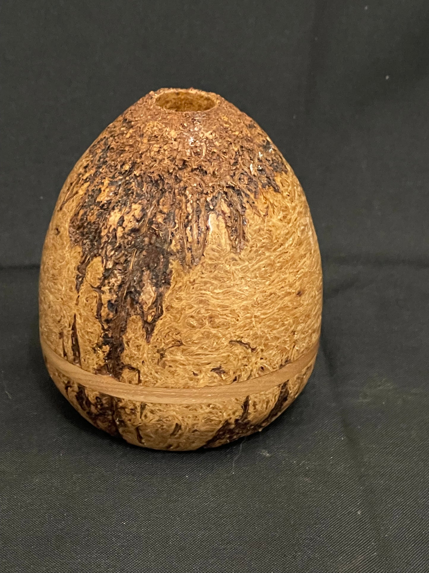 Brazil nut pod vase #1123048